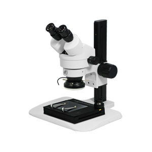 Stereo Microscope